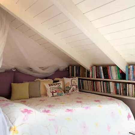 Daire Cozy Attic